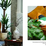 Apartment Ul Domm